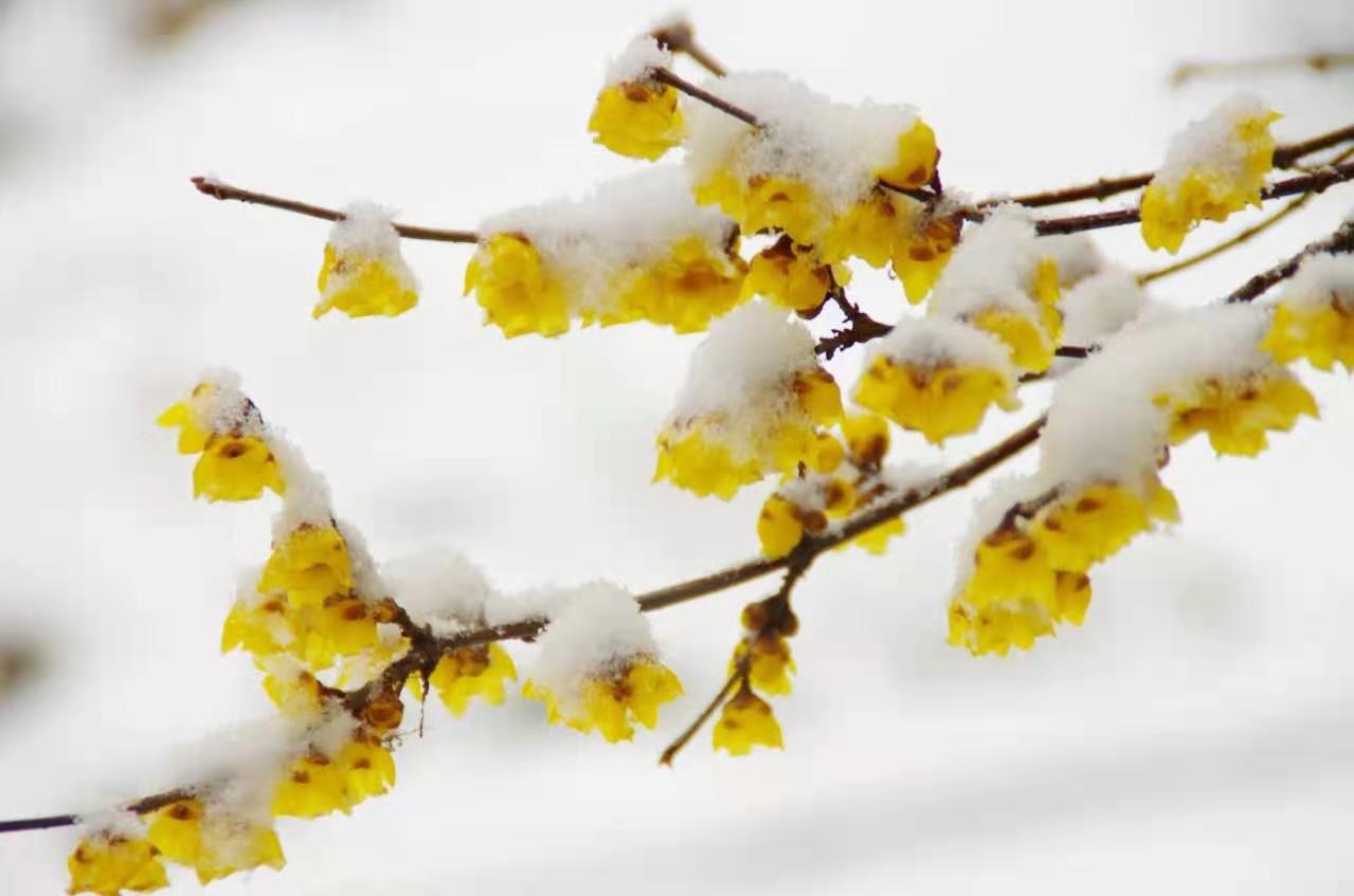 20201229160921071450.jpg 生機(jī).jpg